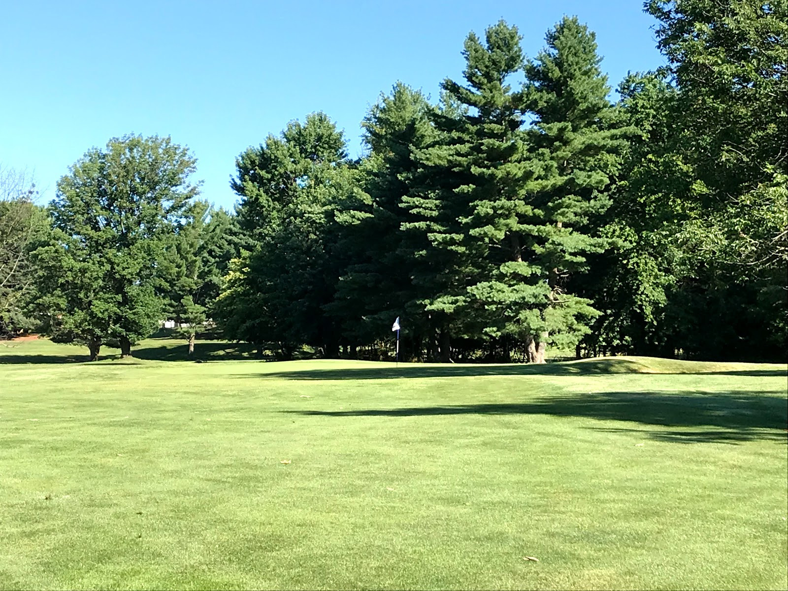 A view of the green on the Tenth Hole at John F. Byrne Golf Course, showcasing its gentle contours.