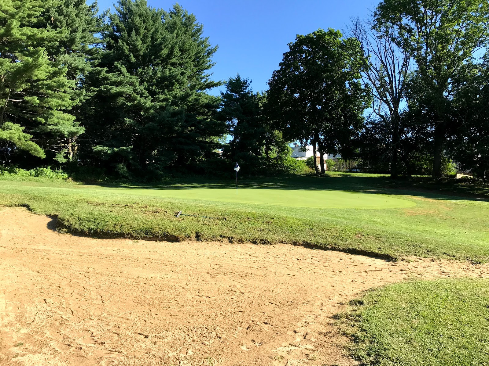 Left side of the green on the Eighth Hole at John F. Byrne Golf Course, showing the bunker and green contours.
