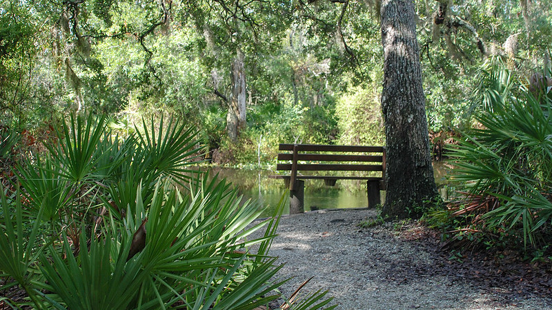 Bench facing creek in woods 
