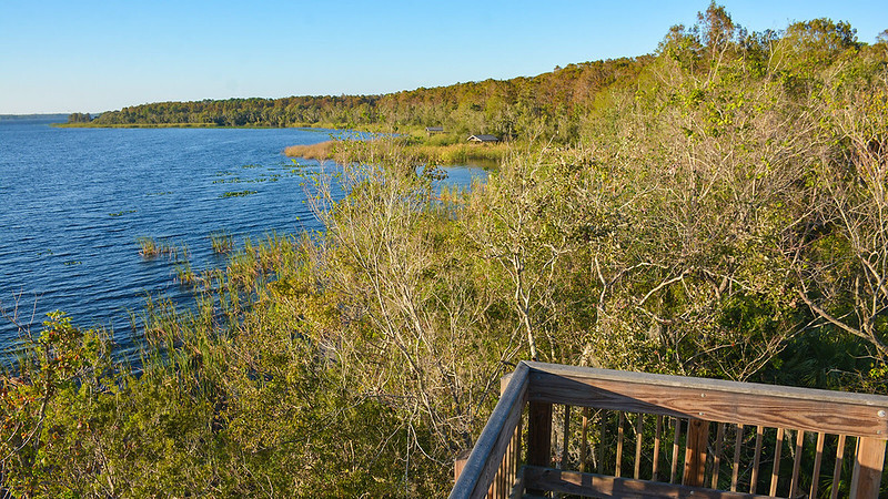 Lake view from observation tower 