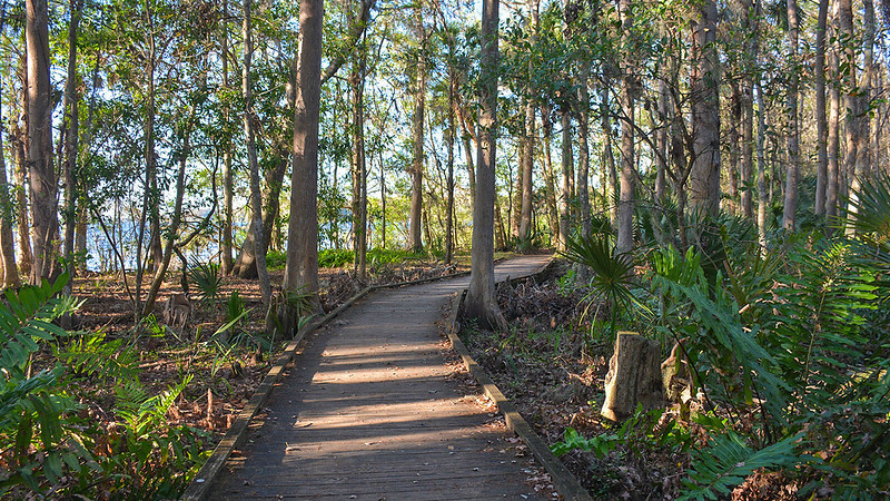 Boardwalk with glimpse of lake 