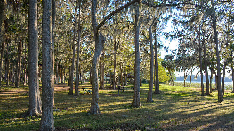 Lakefront picnic area 