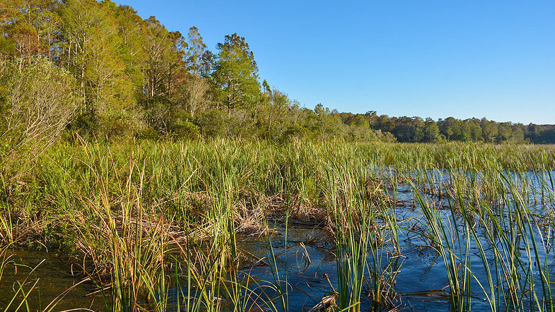 Cove on lake 