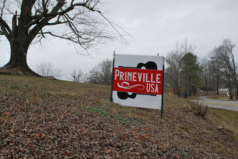 The Haunting Story of John Prine’s Paradise: Loss, Memory, and Legacy in Muhlenberg County