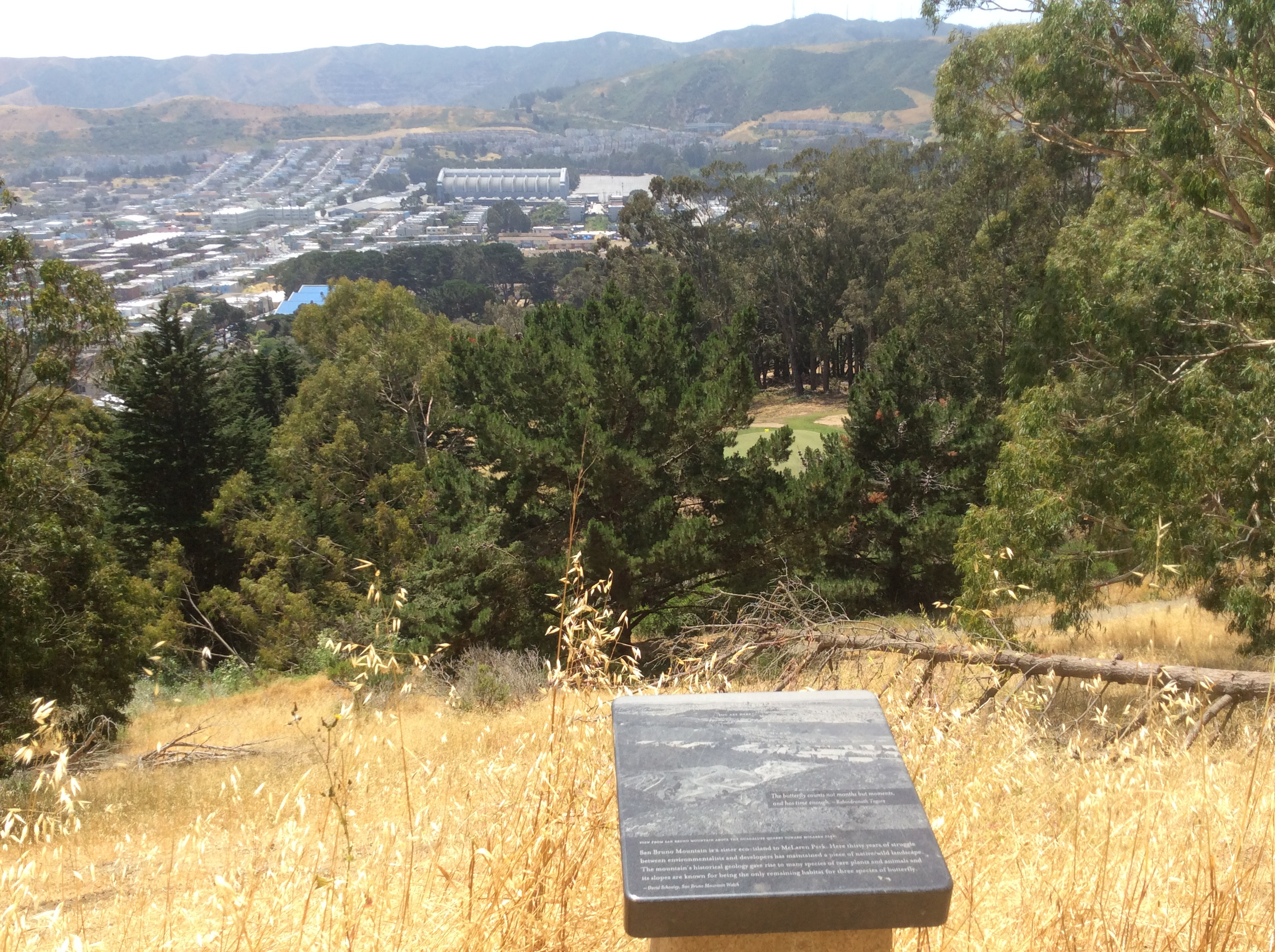 San Bruno overlook from Philosopher