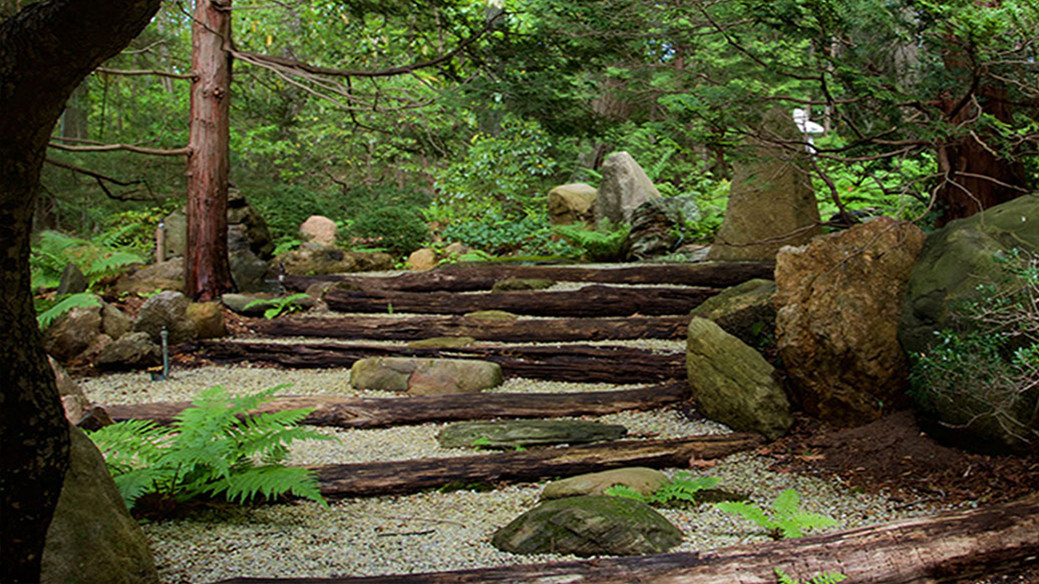 Stone stepping path winding through lush greenery in the John P. Humes Japanese Stroll Garden.