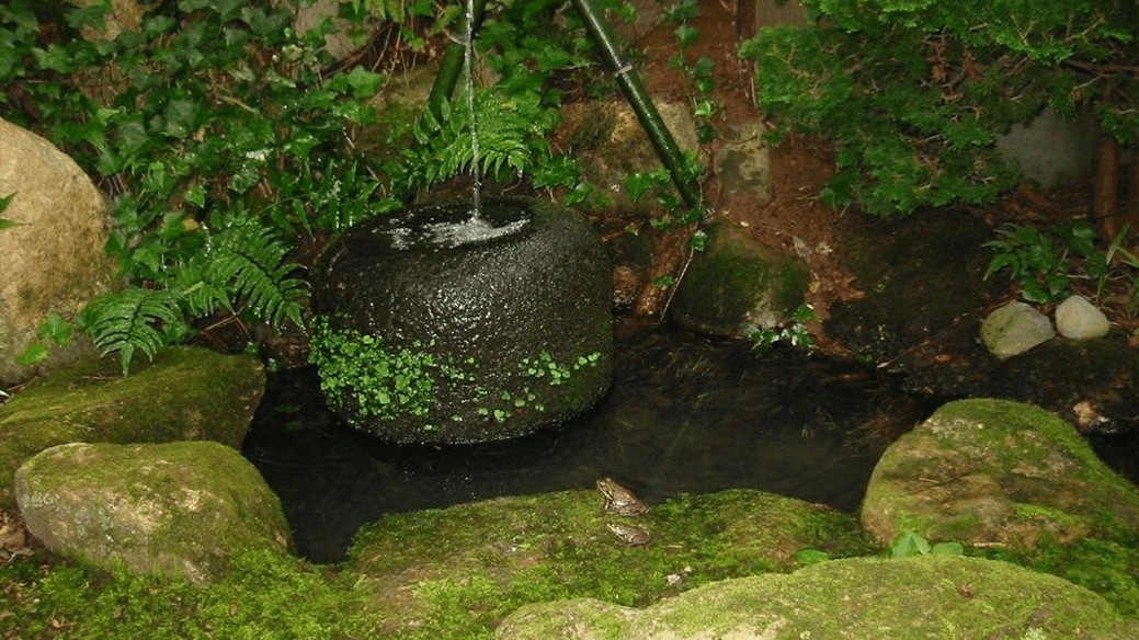Close-up of a stone water basin with bamboo pipe in the John P. Humes Japanese Stroll Garden.