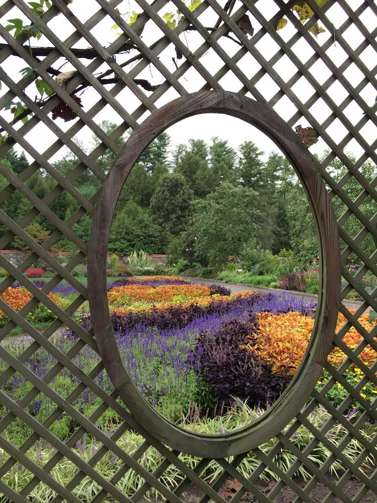 Close-up of the Biltmore Estate's detailed interior, showing rich textures and elaborate design elements.