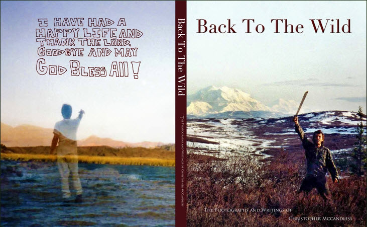 A photograph of the book cover for &quot;Into the Wild&quot; by Jon Krakauer, showcasing a scenic landscape.