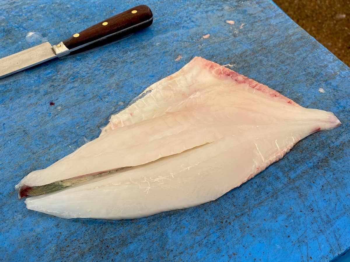 Fresh John Dory fillet with translucent flesh and a slight shimmer, indicating freshness